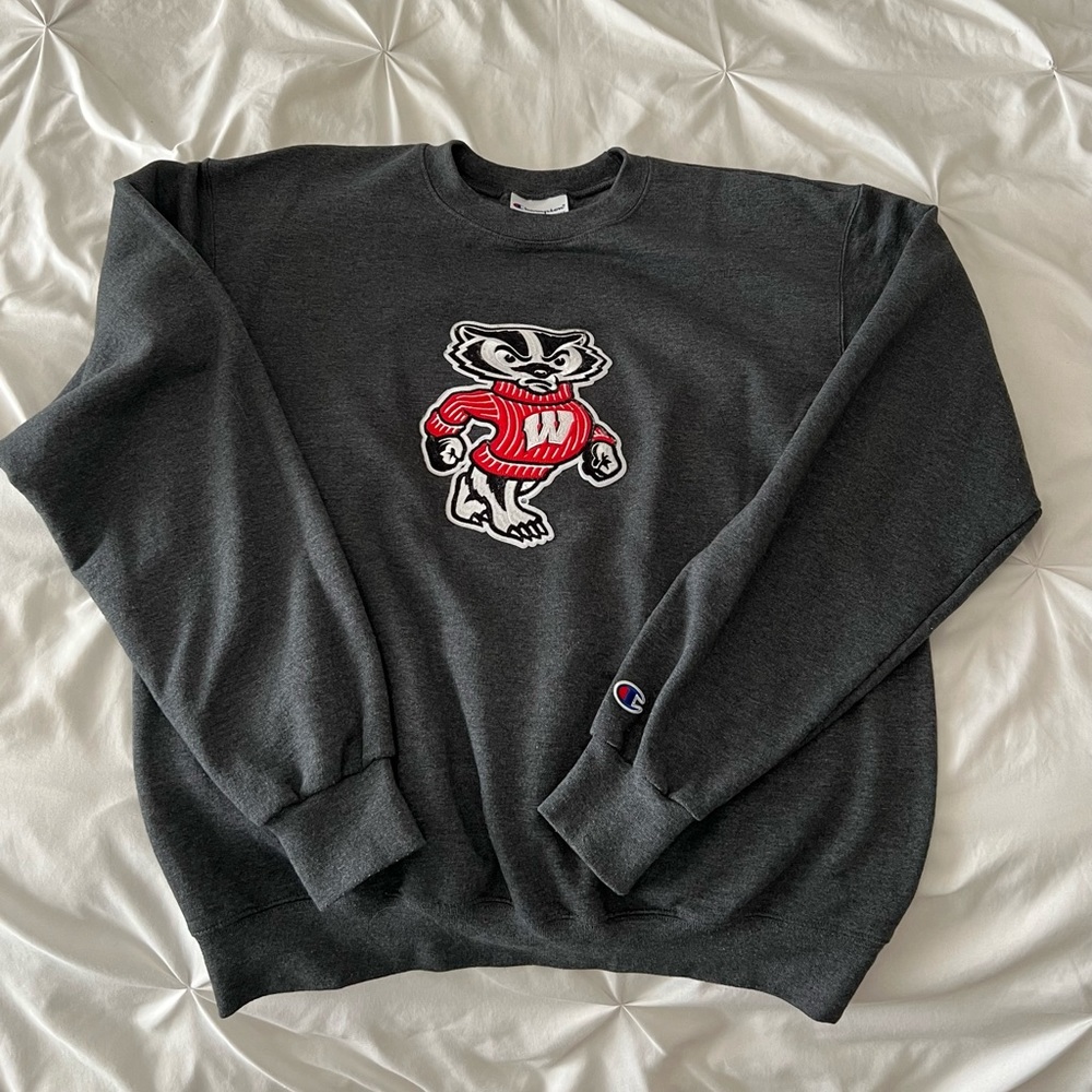 University of Wisconsin Sweatshirt (Badgers)
